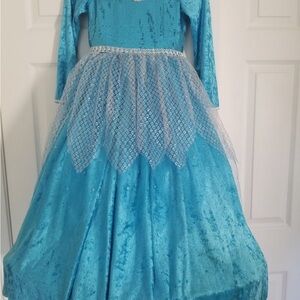 Elsa dress Costume